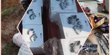 सशस्त्र प्रहरीको इस्कार्वड टिम एक्सनमा : तस्करीको समान धमाधम  नियन्त्रणमा लिदै