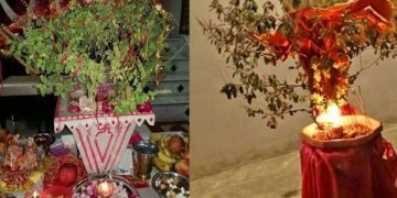 तुलसी विवाहको पौराणिक कथा : यी हुन् तुलसी पूजन एवं विवाहका फाइदा