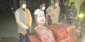 सशस्त्र प्रहरी स्क्वार्ड टिमको ठुलो सफलता : १ सय २५ किलो लागूऔषध गांजा बरामद