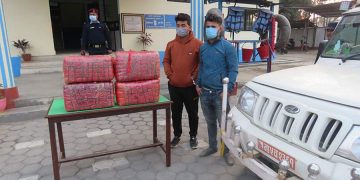 ३४ किलो गाँजासहित दुई जना पक्राउ