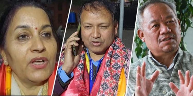 कांग्रेस सह-महामन्त्रीमा डिना, परियार र आङ्देम्बे विजयी