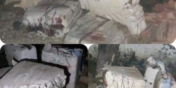 सशस्त्र प्रहरीको इस्क्वाड टिमद्वारा १ सय ६८ किलो गांजा बरामद