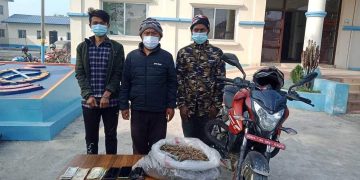 अवैध लागुऔषध गाँजा सहित ३ जना पक्राउ