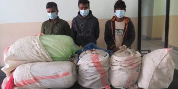 लागुऔषध गाँजा सहित ३ जना भारतिय नागरीक पक्राउ