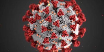 कोरोना संक्रमणदर घट्दै