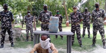 एसएसबी ने तस्करों के हलक से जप्त किया लाखों रुपये मूल्य का गांजा