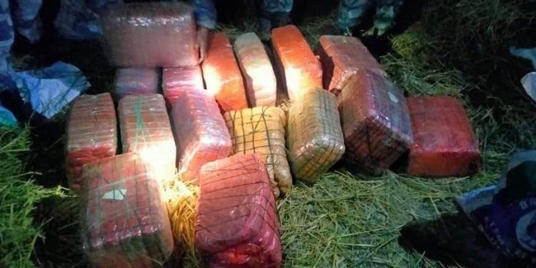 सशस्त्र प्रहरीद्वारा ठुलो परिमाणमा लागूऔषध गाँजा बरामद