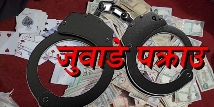 आठ जना जुवाडे कंचनपुर प्रहरीको नियन्त्रणमा