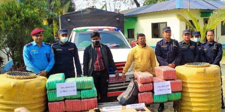 सर्लाहीमा माछा बोक्ने गाडीमा गाँजा ओसारपसार गर्ने दुई जना पक्राउ
