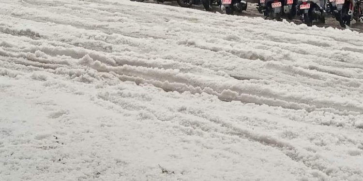 पोखरामा भारी आसिना पानी