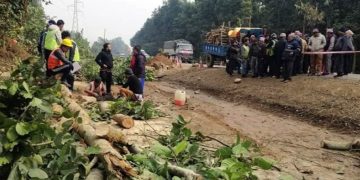 नारायणघाट–बुटवल सडक बिस्तार : तोकिएभन्दा पाँच सयगुणा बढी रुख काटियो