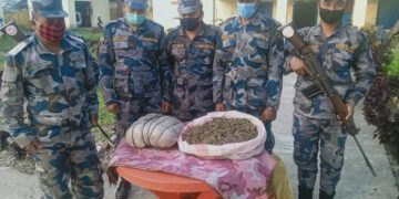 सशस्त्र प्रहरीद्वारा गाँजा बरामद