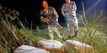 लुकाइराखेको ७५ किलो गाँजा बरामद