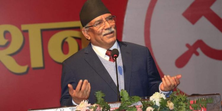 प्रचण्ड रोल्पा जाँदै