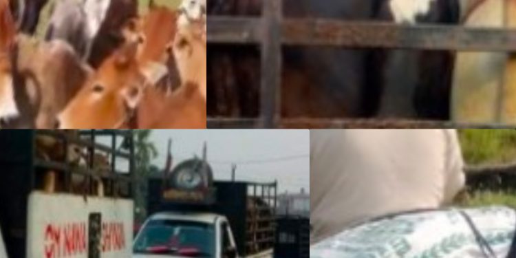 झापामा प्रहरी प्रशासनकै मिलेमतोमा तस्करी