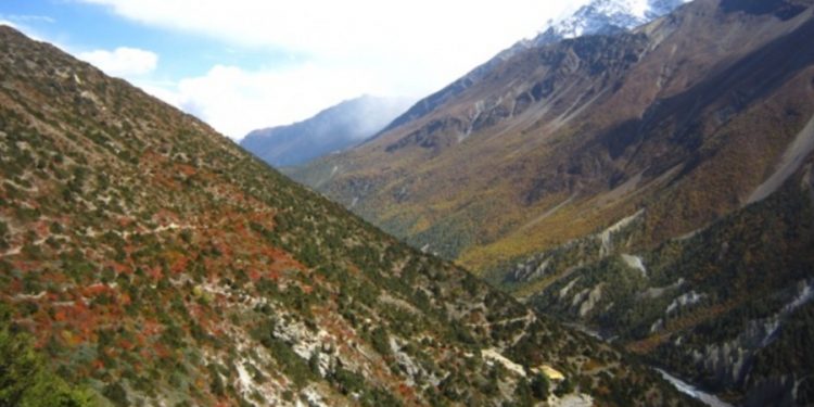 अन्नपूर्ण पदमार्गमा बढे पर्यटक