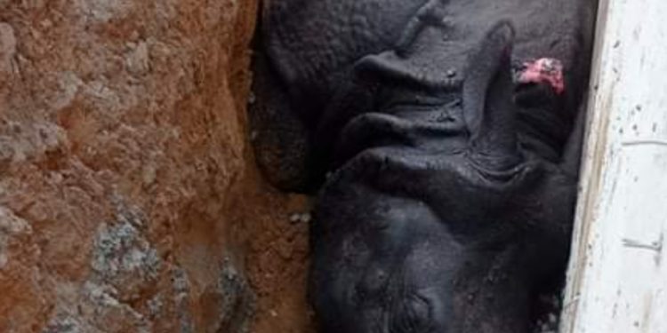 वन्यजन्तुमैत्री पूर्वाधार निर्माण निर्देशिका जारी