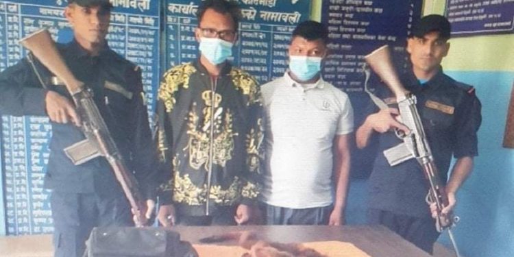 रेडपाण्डाको छालासहित २ जना पक्राउ