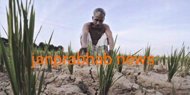 किसानको दुखेसो : बीउ र मलकाे अभावले समयमा कहिल्यै बाली लगाउन पाइएन