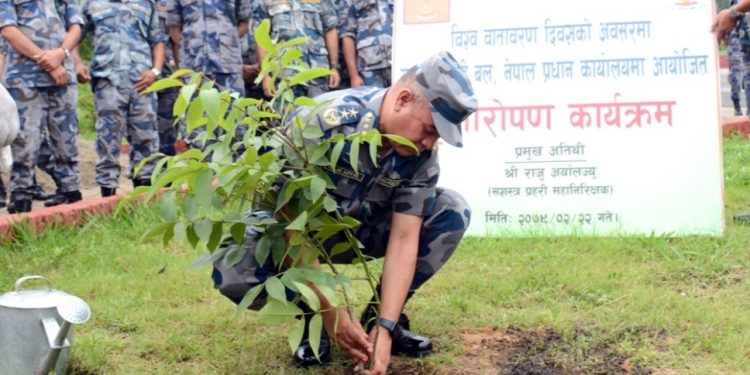 विश्व वातावरण दिवसको अवसरमा वृक्षरोपण