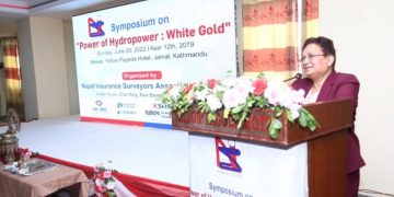 पेट्रोलियम पर्दाथको विकल्पमा विद्युतीय उर्जा आवश्यक