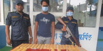 फर्पिङबाट ५९० एम्पुल लागूऔषधसहित युवक पक्राउ