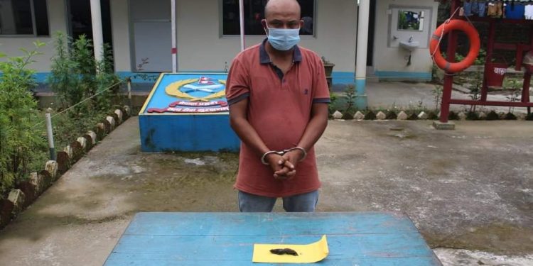 ब्राउन सुगरसहित पथरीशनिश्चरेबाट एक जना पक्राउ
