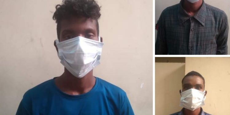 चोरीमा संलग्न ३ जना सामान सहित पक्राउ