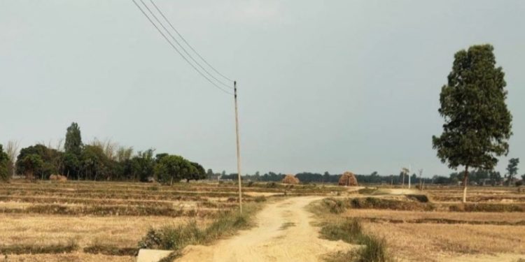 ६ हजार मिटर तार किनेर ६० हजार मिटर तारको रकम निकासा,अख्तियार कमिसनमै चुपचाप