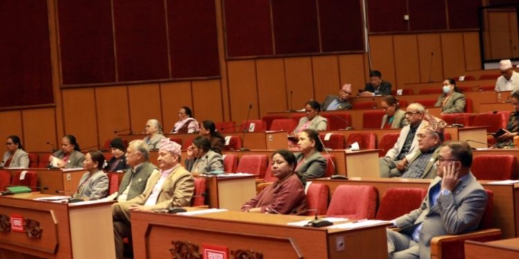 सांसदद्वारा सरकारी जग्गा संरक्षणमा सरकारको ध्यानाकर्षण