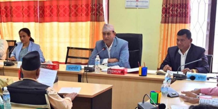 संवैधानिक परिषद्‌सम्बन्धी विधेयक : निर्णयमा अब प्रधानमन्त्रीको सहमति अनिवार्य