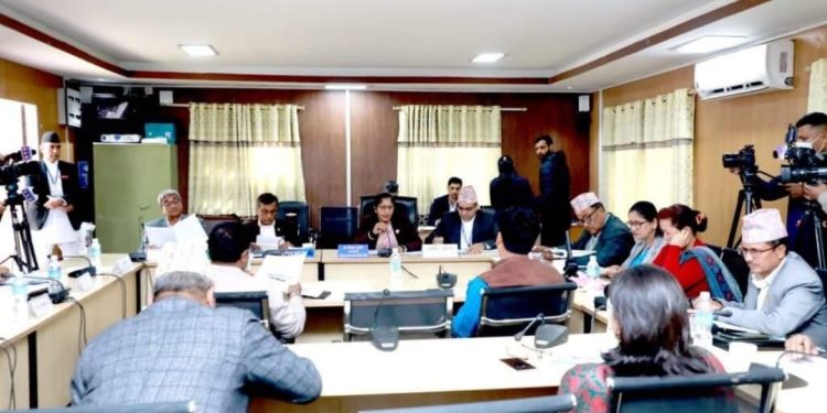 कानुन, न्याय तथा मानवअधिकार समितिमा विवाह गर्ने उमेरबारे बहस